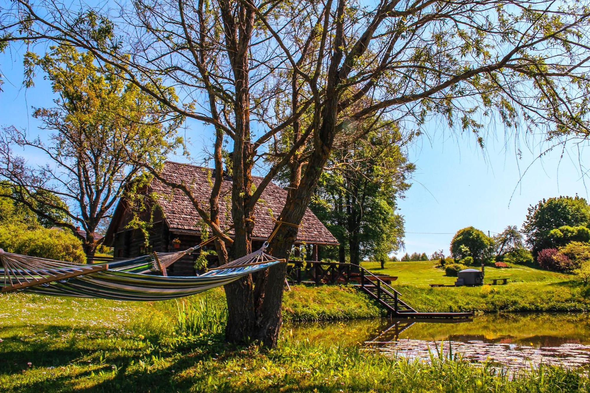 Lejasbisenieki Holiday home